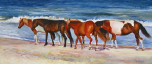 ann.cockerill.wildponiesofassateagueisland.wc.jpg