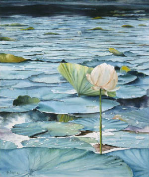 Lotus art print Ann Cockerill